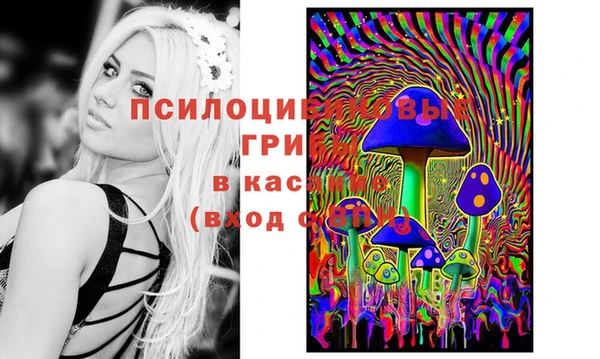 mdma Дмитриев