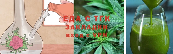 тгк Гусев