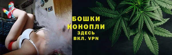 тгк Гусев