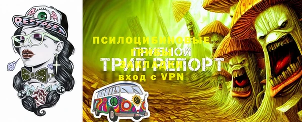 PSILOCYBIN Ельня