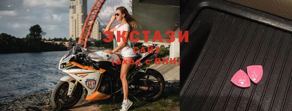 тгк Гусев