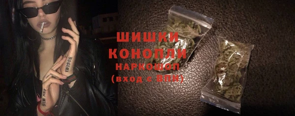 тгк Гусев