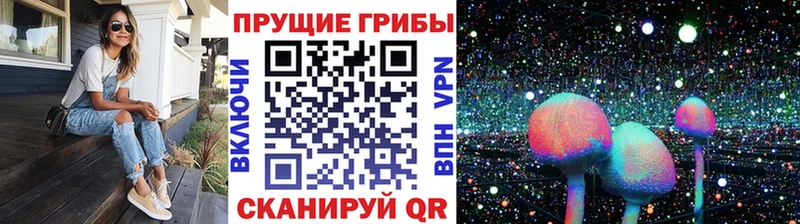 blacksprut ссылки  Ачинск  Галлюциногенные грибы GOLDEN TEACHER 